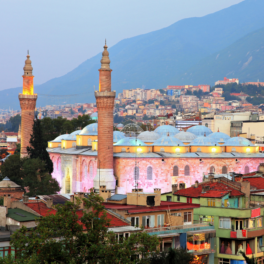  Bursa